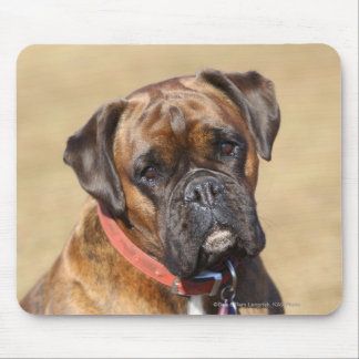 Brindle Boxer Dog Mouse Pad