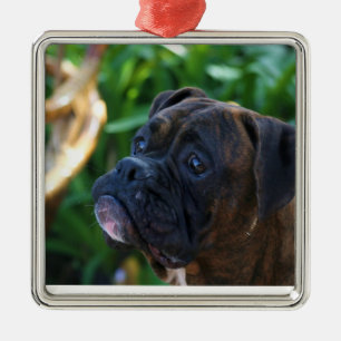 Brindle boxer dog ornament