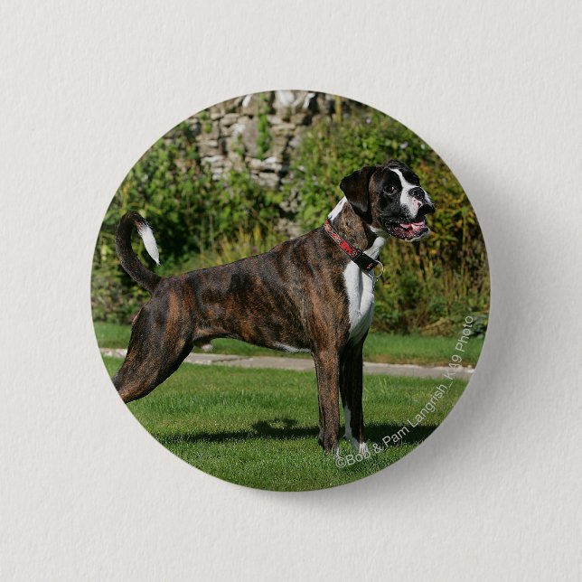 Brindle Boxer Dog Show Stance 6 Cm Round Badge (Front)