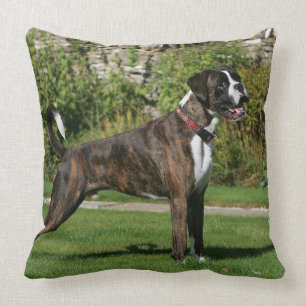 Brindle Boxer Dog Show Stance Cushion