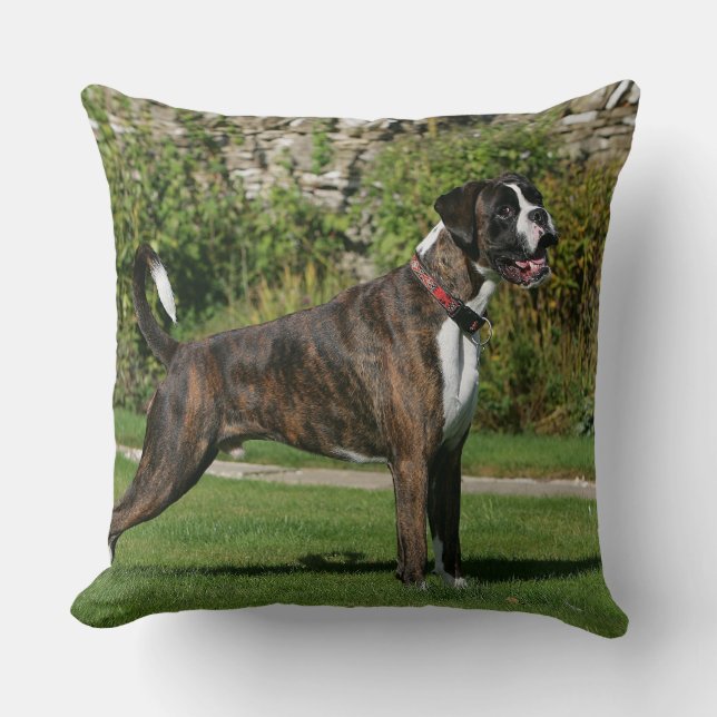 Brindle Boxer Dog Show Stance Cushion (Front)