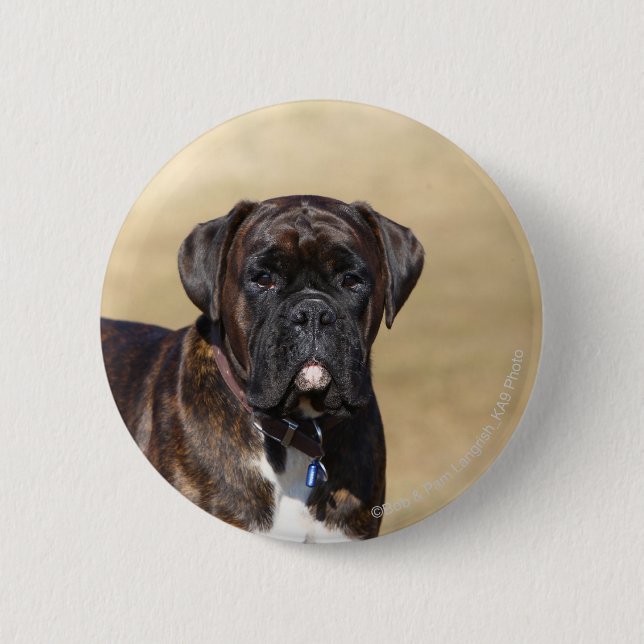 Brindle Boxer Dog Standing 6 Cm Round Badge (Front)