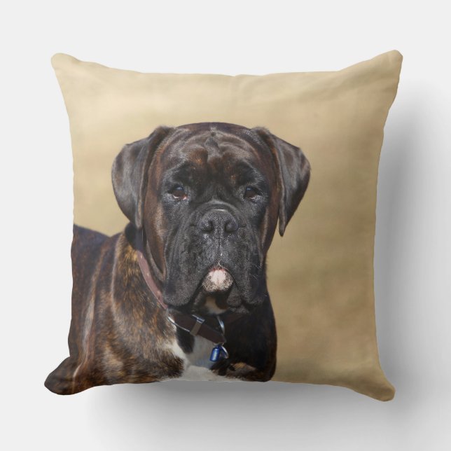 Brindle Boxer Dog Standing Cushion (Front)