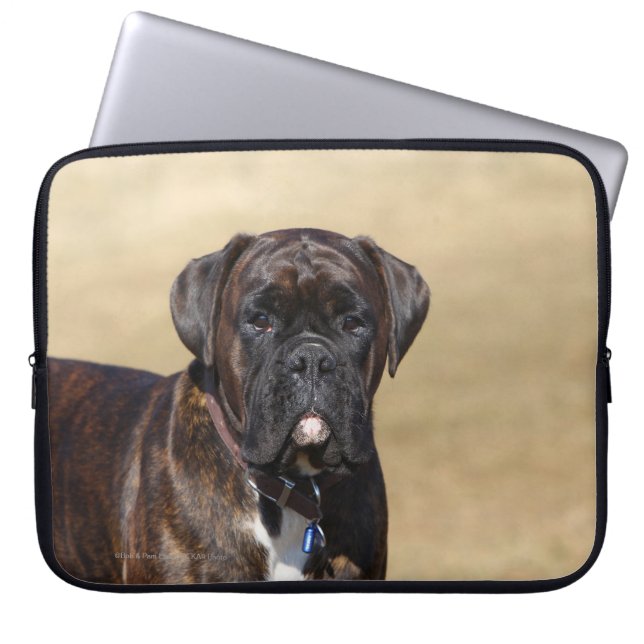 Brindle Boxer Dog Standing Laptop Sleeve (Front)