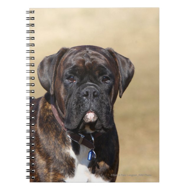 Brindle Boxer Dog Standing Notebook (Front)