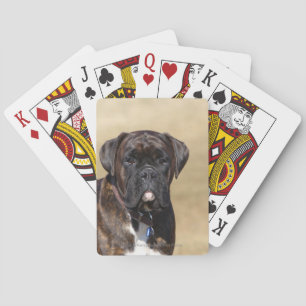 Brindle Boxer Dog Standing Playing Cards