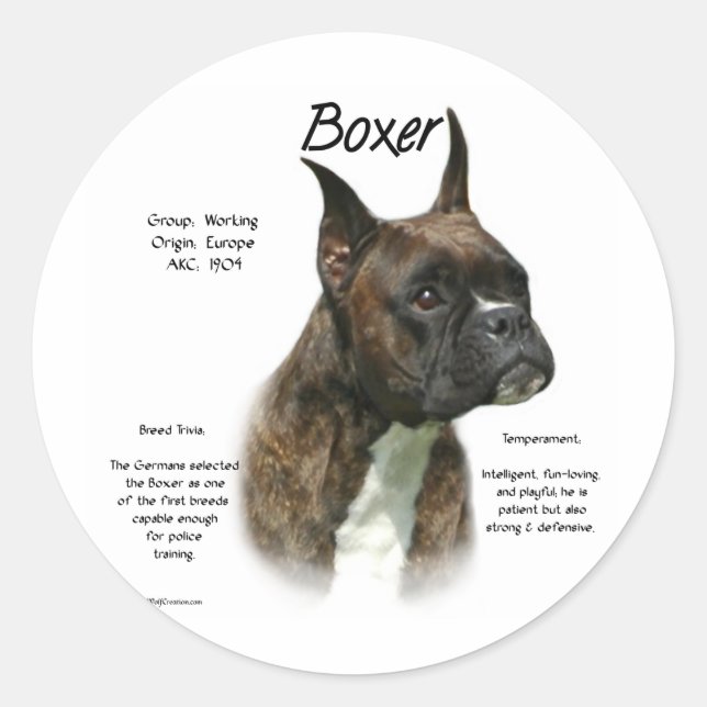 Brindle Boxer History  Classic Round Sticker (Front)