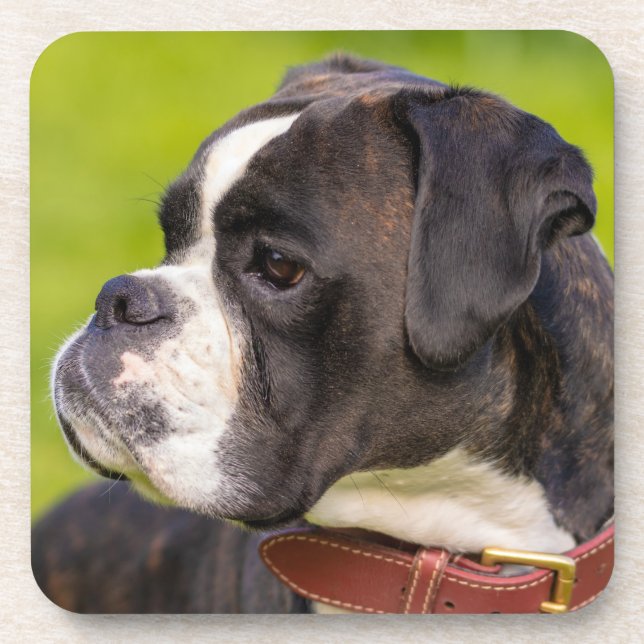 Brindle Boxer Puppy Dog Coaster (Front)