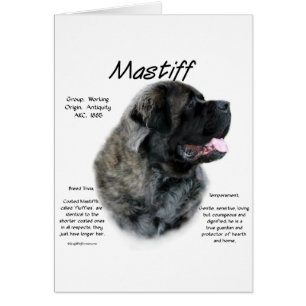 Brindle Fluffy Mastiff History