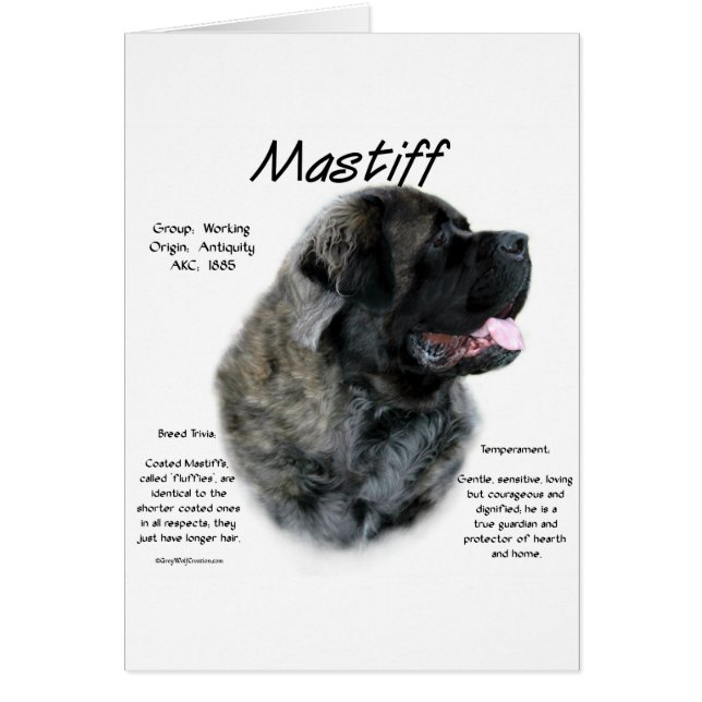 Brindle Fluffy Mastiff History  (Front)