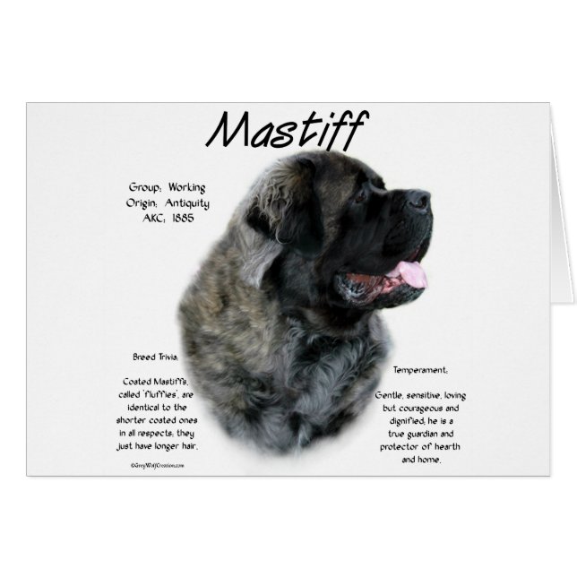 Brindle Fluffy Mastiff History  (Front Horizontal)