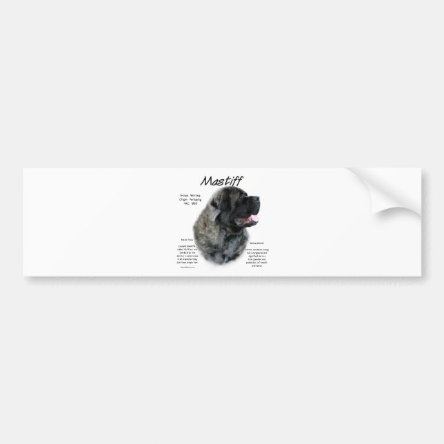 Brindle Fluffy Mastiff History  Bumper Sticker (Front)