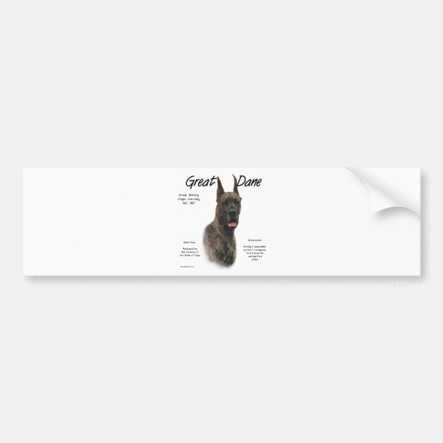 Brindle Great Dane History Design Bumper Sticker (Front)