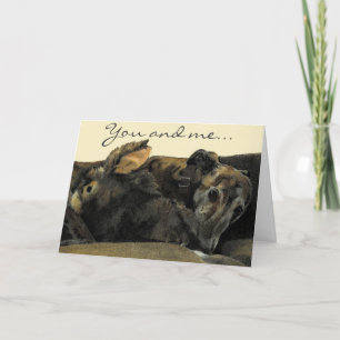 Brindle Greyhound & Bunny Valentine's Day card
