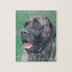 Brindle Masstiff Dog Puzzle