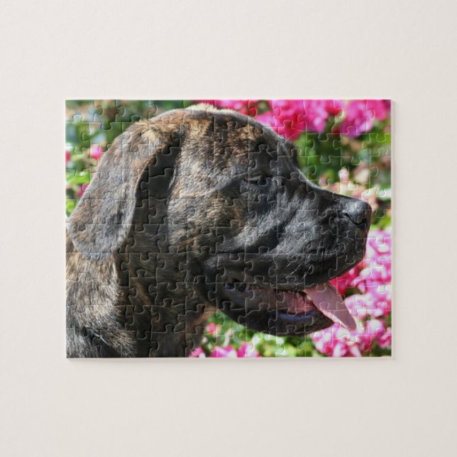Brindle Mastiff Dog Jigsaw Puzzle (Horizontal)