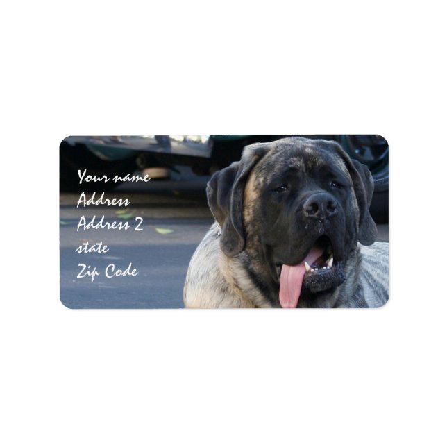 Brindle Mastiff Dog Label (Front)