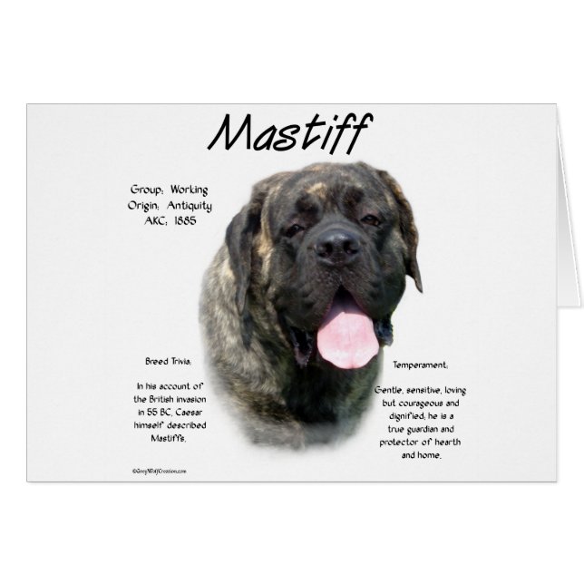 Brindle Mastiff History  (Front Horizontal)