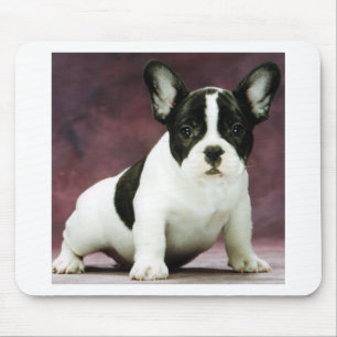 Brindle_pied_french bulldog puppy mouse pad