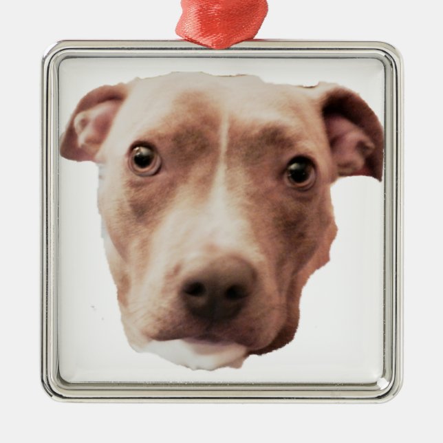 BRINDLE PIT BULL ornament (Front)