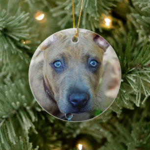 Brindle Pit Bull Puppy by Shirley Taylor Ceramic Tree Decoration