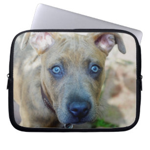 Brindle Pit Bull Puppy by Shirley Taylor Laptop Sleeve
