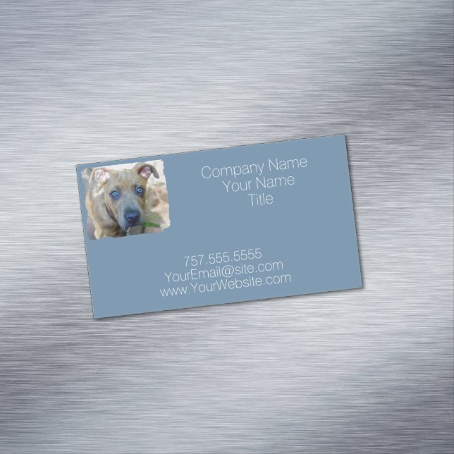 Brindle Pit Bull Puppy by Shirley Taylor Magnetic Business Card (In Situ)