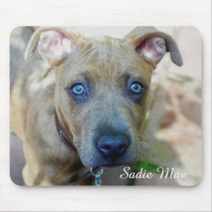 Brindle Pit Bull Puppy by Shirley Taylor Mouse Pad