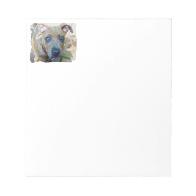 Brindle Pit Bull Puppy by Shirley Taylor Notepad (Front)