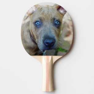 Brindle Pit Bull Puppy by Shirley Taylor Ping Pong Paddle