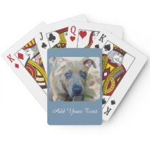 Brindle Pit Bull Puppy by Shirley Taylor