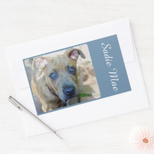 Brindle Pit Bull Puppy by Shirley Taylor Rectangular Sticker