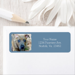 Brindle Pit Bull Puppy by Shirley Taylor Return Address Label