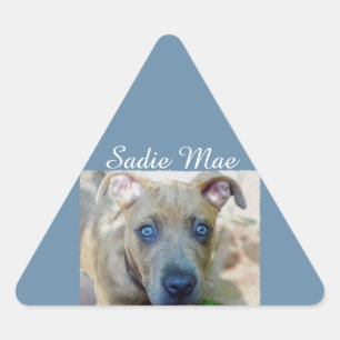 Brindle Pit Bull Puppy by Shirley Taylor Triangle Sticker