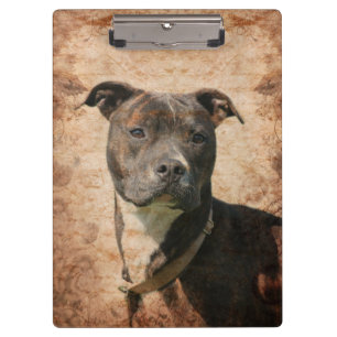 Brindle pitbull clipboard