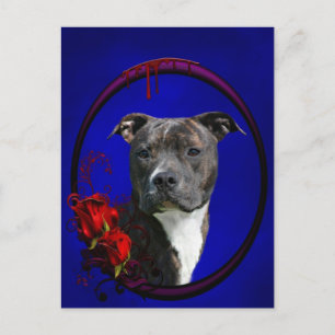 Brindle pitbull with roses postcard