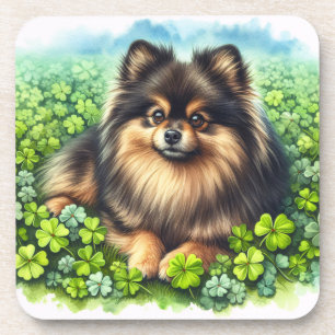 Brindle Pomeranian Watercolor Clover Shamrock Coaster