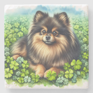 Brindle Pomeranian Watercolor Clover Shamrock Stone Coaster