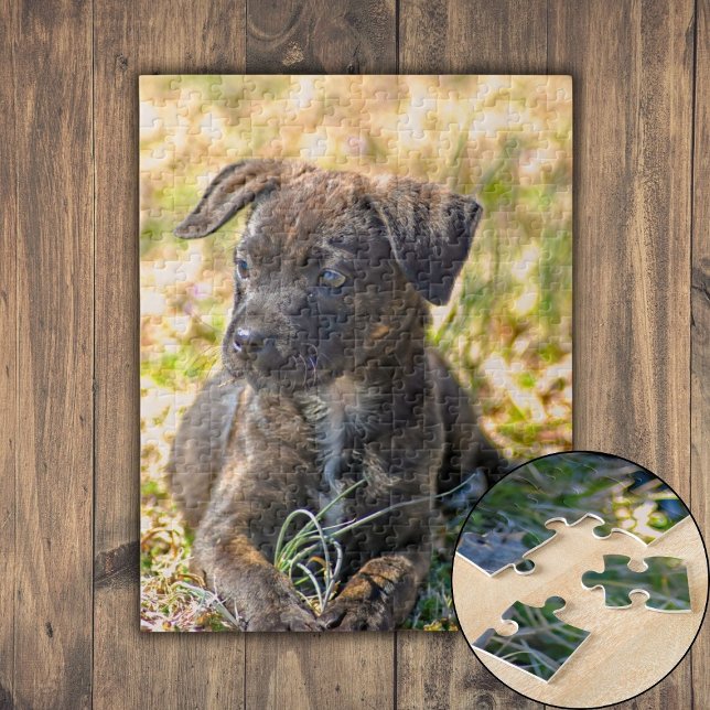 Brindle Puppy and Wild Onion Jigsaw Puzzle (Brindle Puppy and Wild Onion Jigsaw Puzzle)