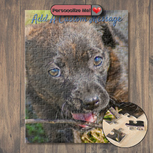 Brindle Puppy Chewing on Twig Jigsaw Puzzle