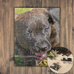 Brindle Puppy Chewing on Twig Jigsaw Puzzle<br><div class="desc">A baby, brindled puppy is chewing on a piece of wood that she found on a cool March morning. The closeup shows her happy face. If you love puppies, our "Brindle Puppy Chewing on Twig Jigsaw Puzzle" is perfect for you. Frame your completed puzzle and hang it on the wall....</div>