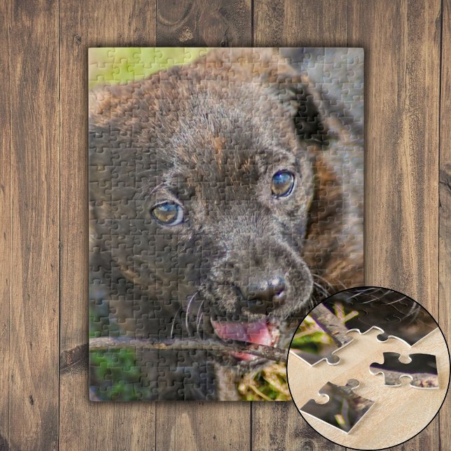 Brindle Puppy Chewing on Twig Jigsaw Puzzle (Brindle Puppy Chewing on Twig Jigsaw Puzzle)