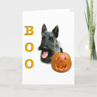 Brindle Scottish Terrier Boo