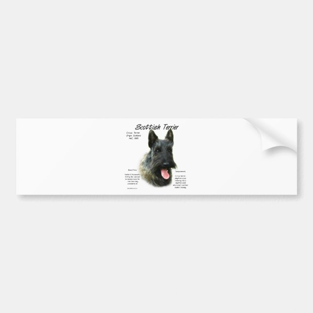 Brindle Scottish Terrier History  Bumper Sticker (Front)