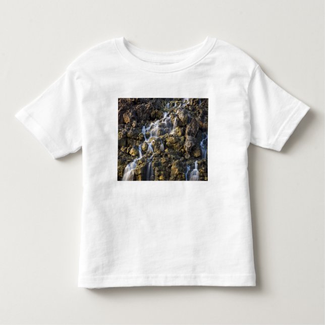 Brine falls from volcanic rock drop off 2 toddler T-Shirt (Front)