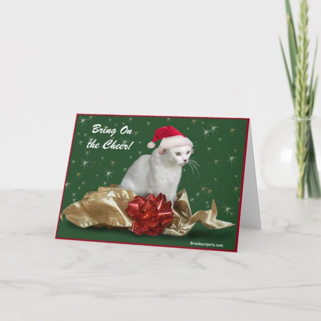 "Bring on the Cheer" Holiday Card (Front)