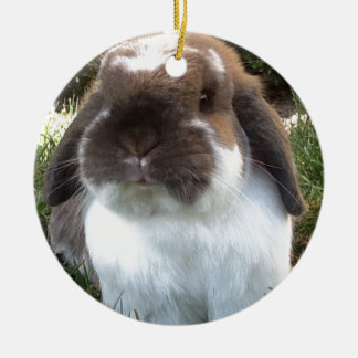 Bring some furriness into your life! ceramic ornament