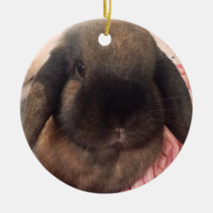 Bring some furriness to your tree ceramic tree decoration