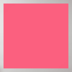 Brink pink (solid colour) poster