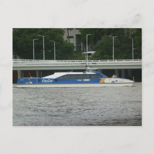 Brisbane City Cat Postcard (Front)